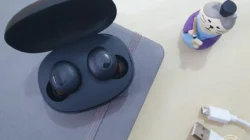 Radiasi TWS Bisa Ngerusak Otak? Ini Jawaban Pakar IPB