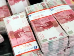 Rupiah Dalam Bayang-Bayang Resesi: Belajar dari Logika Pilot Habibie