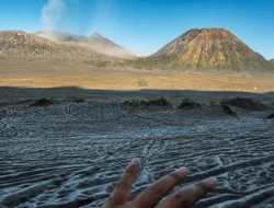 Waktu Pas ke Bromo! Fenomena Embun Upas Eksis Sampai Agustus