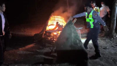 Sarana Diduga Arena Judi Sabung Ayam di Singosari Dibongkar & Dibakar Polisi!