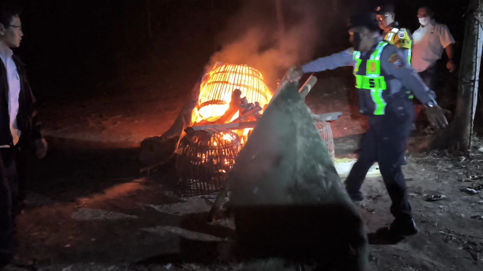 Sarana Diduga Arena Judi Sabung Ayam di Singosari Dibongkar & Dibakar Polisi!