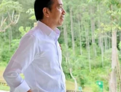 PP Instagram Jokowi Viral Jadi Kiblat Estetik Gen Z