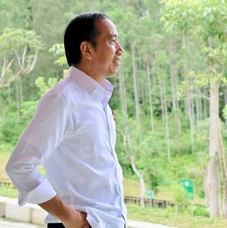PP Instagram Jokowi Viral Jadi Kiblat Estetik Gen Z