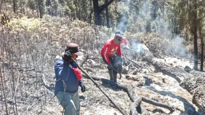 Titik api kebakaran hutan Gunung Arjuno-Welirang berhasil dipadamkan total, tapi ratusan personel masih siaga