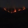 Kebakaran Landa Lereng Bromo, TNBTS Tutup Jalur Jemplang
