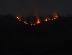 Kebakaran Landa Lereng Bromo, TNBTS Tutup Jalur Jemplang