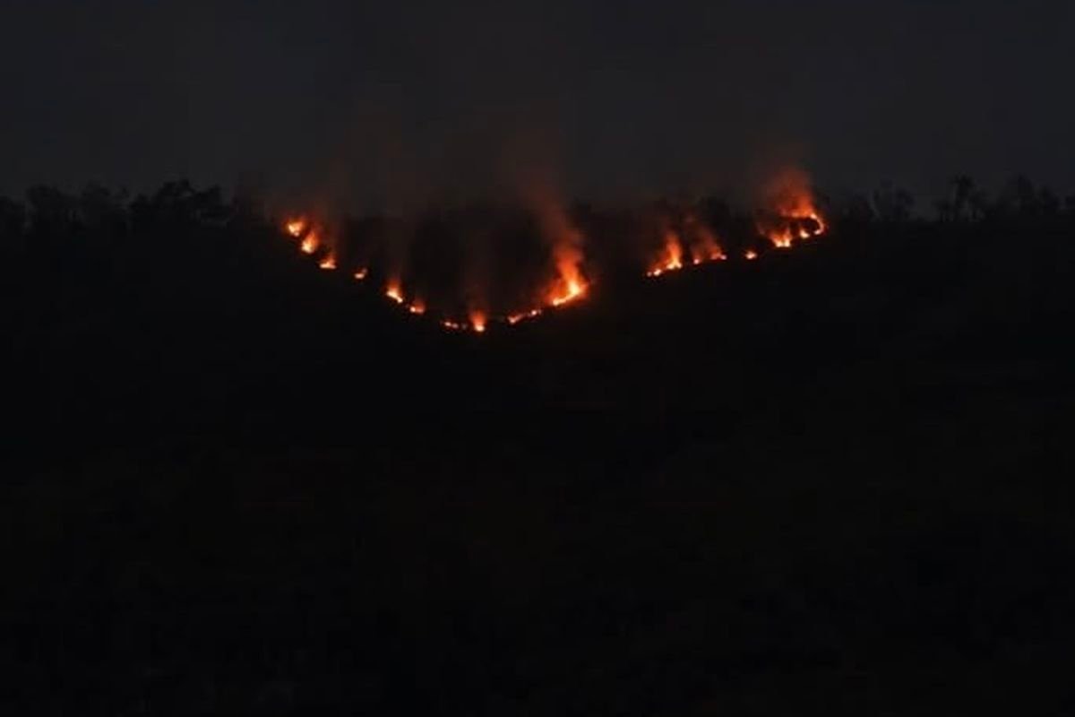 Kebakaran terjadi di Taman Nasional Bromo Tengger Semeru (TNBTS), tepatnya di lereng Kaldera Tengger, sejak Senin (3/8) Sekitar 17.00 WIB.