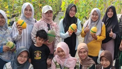 Ketua TP PKK Kabupaten Situbondo, Husna Laili (Mbak Una), melakukan kunjungan ke Wisata Petik Buah Melon Kabupaten Situbondo