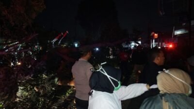 Suasana Jalan Raya Kendalpayak, Kecamatan Pakisaji, Kabupaten Malang mendadak mencekam pada Sabtu (1/8/2026) usai pohon mahoni roboh ke jalan