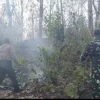 Respons Cepat, Polisi-TNI-Perhutani Padamkan Kebakaran Hutan Jati Pasir Putih