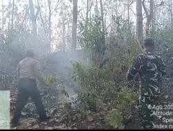 Respons Cepat, Polisi-TNI-Perhutani Padamkan Kebakaran Hutan Jati Pasir Putih