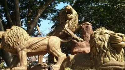 Singa Arek Malang: Ketika Sebuah Logo Menyimpan 800 Tahun Denyut Kehidupan