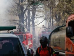 Kebakaran Bromo Menyebar Hingga 940 Hektare, Seluruh Pintu Masuk Wisata Ditutup Total!