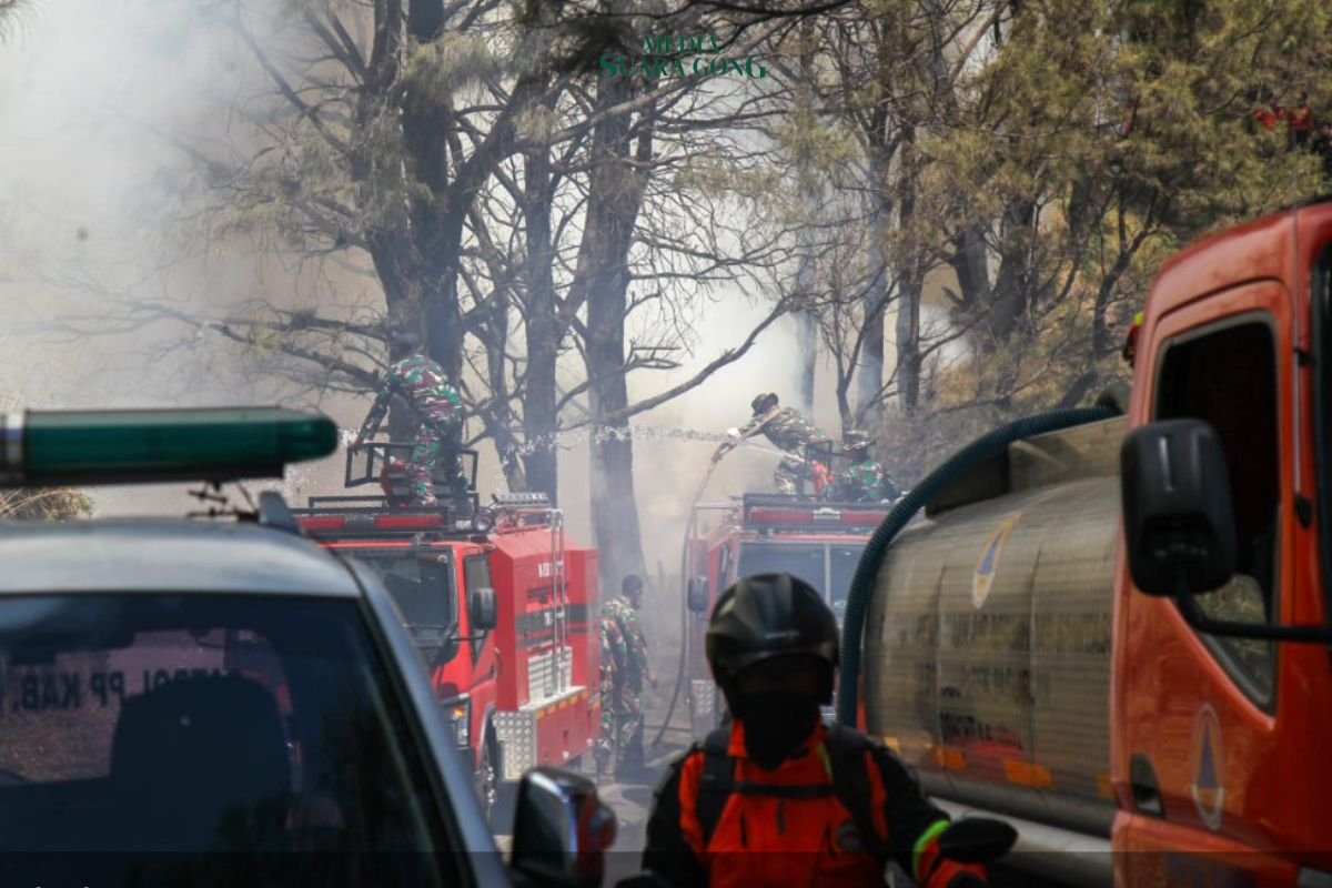 Kebakaran hutan dan lahan (karhutla) yang menerjang kawasan Taman Nasional Bromo Tengger Semeru (TNBST) mencapai 940 hektare