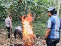 Polres Malang Rata dengan Tanah & Bakar Arena Sabung Ayam di Sumberpucung