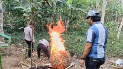 Polres Malang menertibkan arena yang diduga digunakan untuk judi sabung ayam di Desa Sambigede, Kecamatan Sumberpucung, Kabupaten Malang