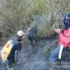 Jalur Pendakian Semeru Ditutup Total Imbas Hutan Ranu Kembang Terbakar