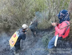 Jalur Pendakian Semeru Ditutup Total Imbas Hutan Ranu Kembang Terbakar