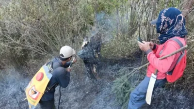 TNBTS resmi memberlakukan penutupan total jalur pendakian gunung semeru menyusul kebakaran hutan di Blok Ranu Kembang