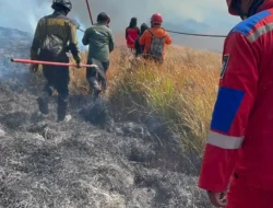 BNPB Siapkan Modifikasi Cuaca untuk Padamkan Karhutla Gunung Bromo