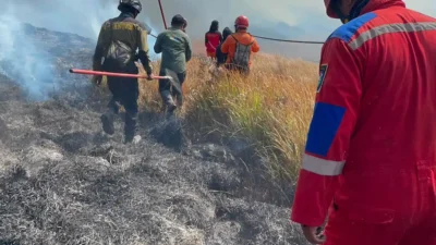 Kebakaran hutan dan lahan di kawasan Gunung Bromo, Jawa Timur, sejak Senin (3/8/2026) 17.00 WIB, terus meluas, BNPB Siapkan Modifikasi Cuaca