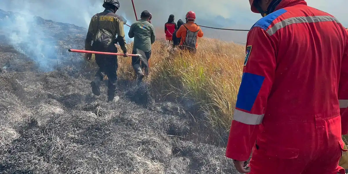 Kebakaran hutan dan lahan di kawasan Gunung Bromo, Jawa Timur, sejak Senin (3/8/2026) 17.00 WIB, terus meluas, BNPB Siapkan Modifikasi Cuaca