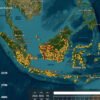 Ratusan Titik Panas Terdeteksi di Kalimantan, Ini Penjelasan Kemhut