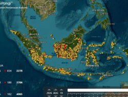 Ratusan Titik Panas Terdeteksi di Kalimantan, Ini Penjelasan Kemhut