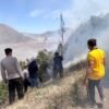 Karhutla Bromo Merembet ke Ngadisari, Polres Probolinggo Gerak Cepat Padamkan Api