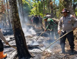 Karhutla Gunung Buthak-Kawinajang Capai 478 Hektare