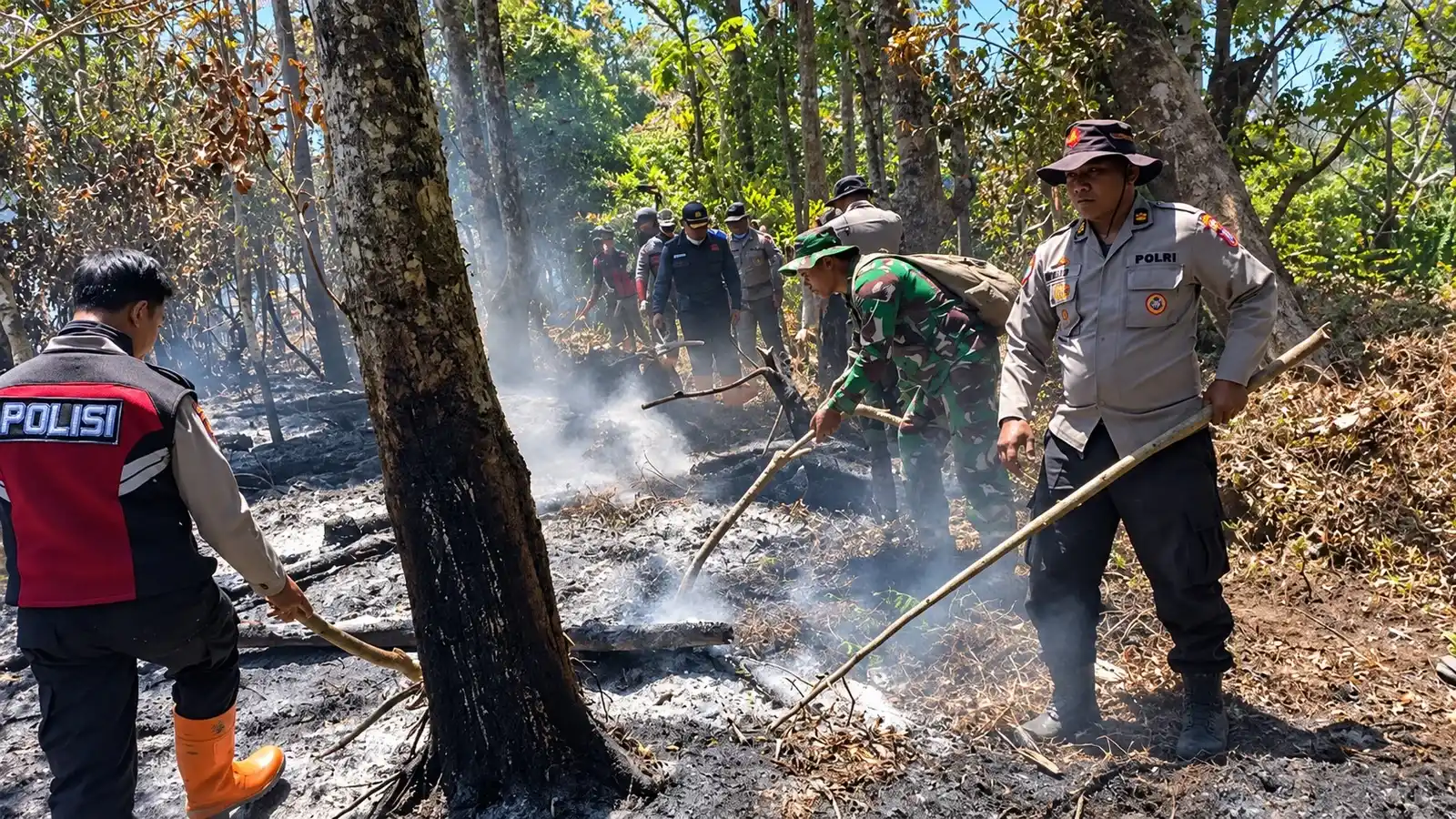 Karhutla Gunung Buthak-Kawinajang di Pujon, Kabupaten Malang, mencapai 478 hektare. Pemadaman dengan water bombing terkendala angin kencang di puncak.