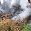 Gunung Buthak Kota Batu Terbakar di Pos 3, Ratusan Pendaki Dievakuasi