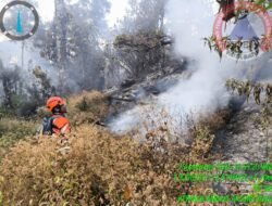 Gunung Buthak Kota Batu Terbakar di Pos 3, Ratusan Pendaki Dievakuasi