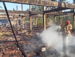 Kandang Ayam di Ngajum Malang Ludes Terbakar, Kerugian Tembus Rp1 Miliar
