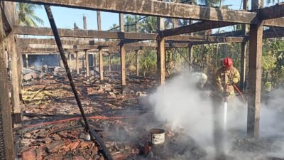 Diduga Karena korsleting pemanas, Kandang Ayam di Ngajum Malang Ludes Terbakar, Kerugian diperkirakan Tembus Rp1 Miliar