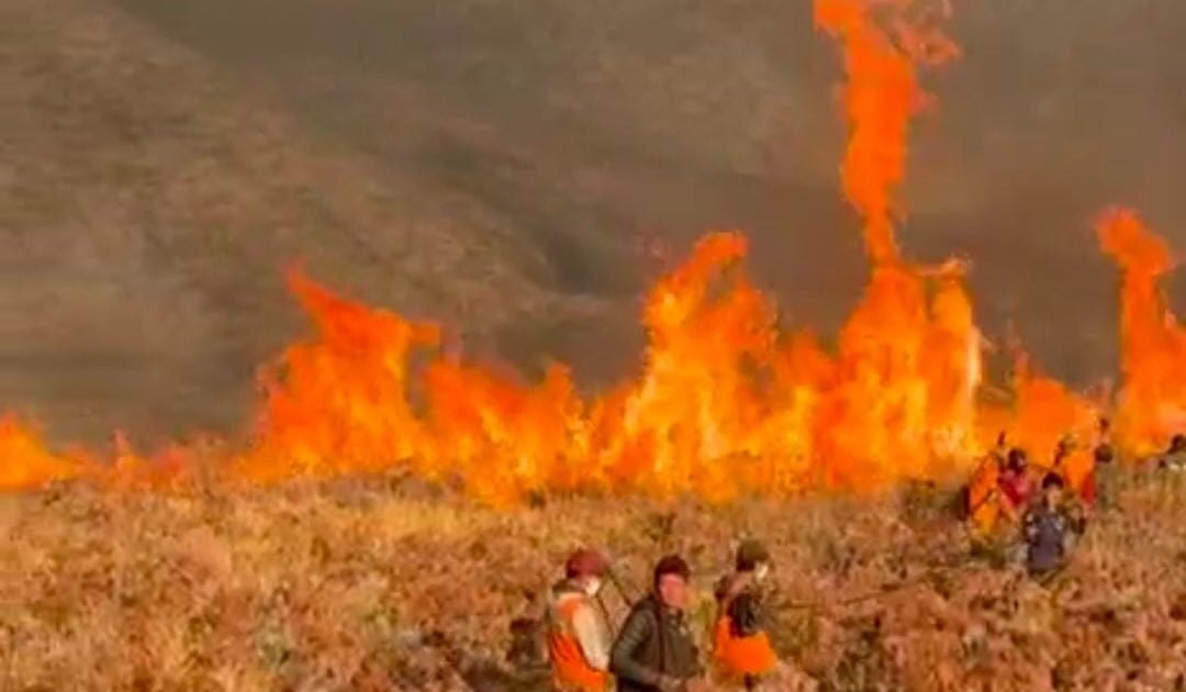 Jumlah korban meninggal dunia dalam penanganan kebakaran hutan dan lahan (karhutla) di kawasan Gunung Bromo kembali bertambah