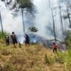 5.000 Meter Persegi Hutan Pinus Pesanggrahan Kota Batu Terbakar