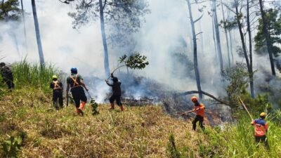 Kebakaran terjadi dari kawasan hutan pinus Petak 228 A RPH Oro-Oro Ombo, Desa Pesanggrahan, Kecamatan Batu, Kota Batu, Selasa (6/10/2026).