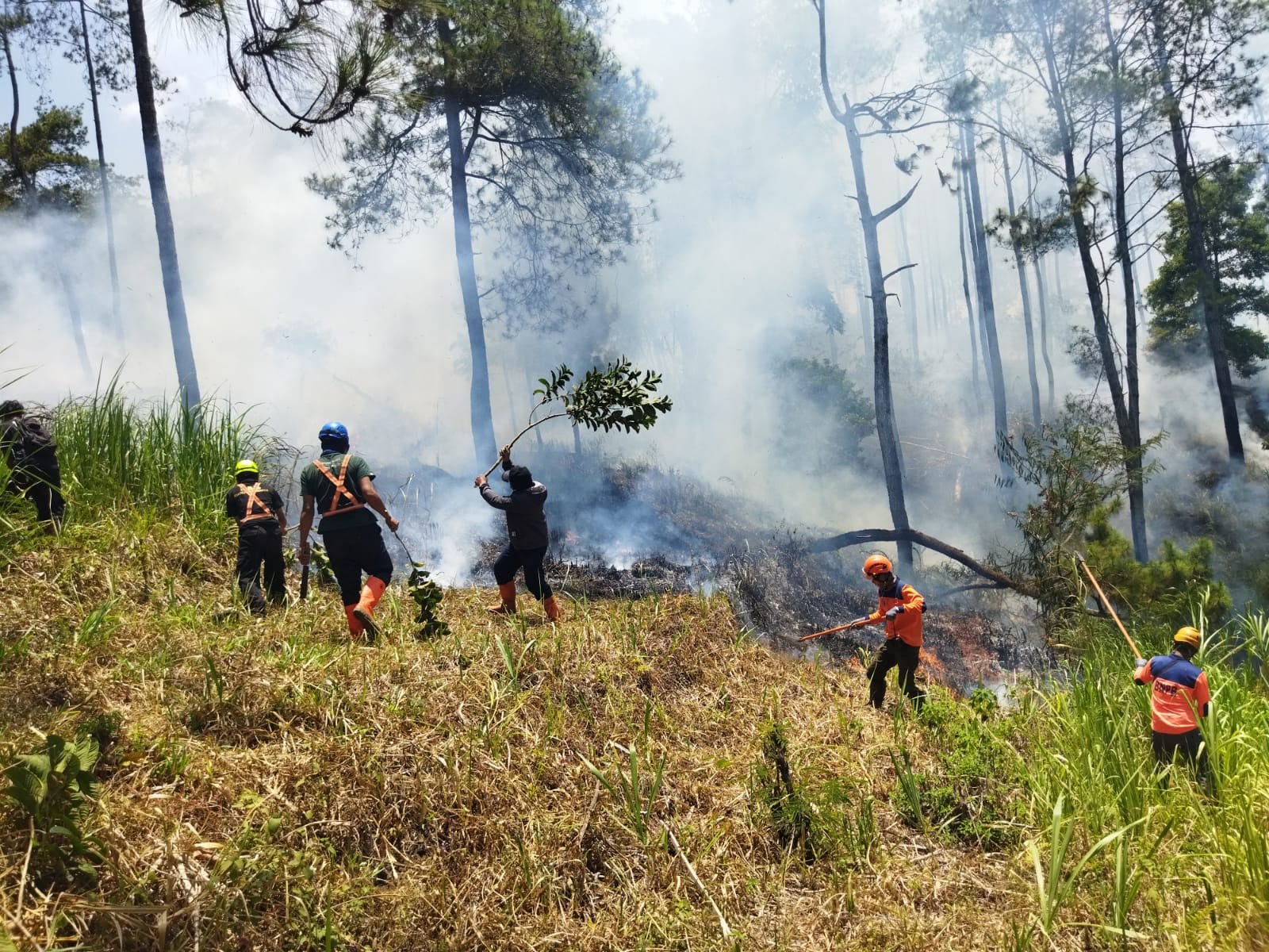 Kebakaran terjadi dari kawasan hutan pinus Petak 228 A RPH Oro-Oro Ombo, Desa Pesanggrahan, Kecamatan Batu, Kota Batu, Selasa (6/10/2026).