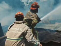 Kebakaran Lahan Melonjak, Damkar Kota Malang Catat 74 Kejadian Hingga September 2026