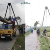 Kabel Listrik Disangga Bambu di Bondowoso, Kini 12 Tiang PLN Mulai Dipasang