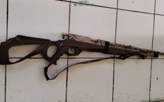 Perburuan satwa liar kembali terungkap di kawasan hutan Kabupaten Malang, Dua ekor landak Jawa ditemukan mati akibat diburu